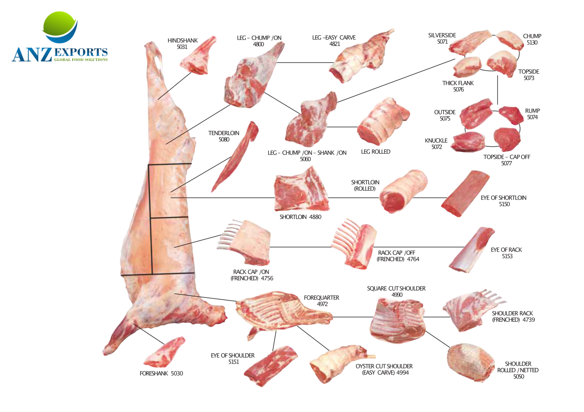 Meats, Poultry & Offal – ANZ Exports